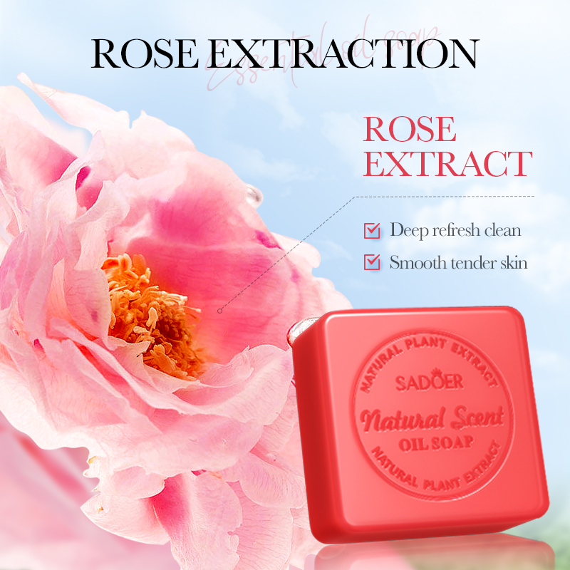 Handgemachte Seife Natürliche  – Soap Making Oils Bewertung und Preis